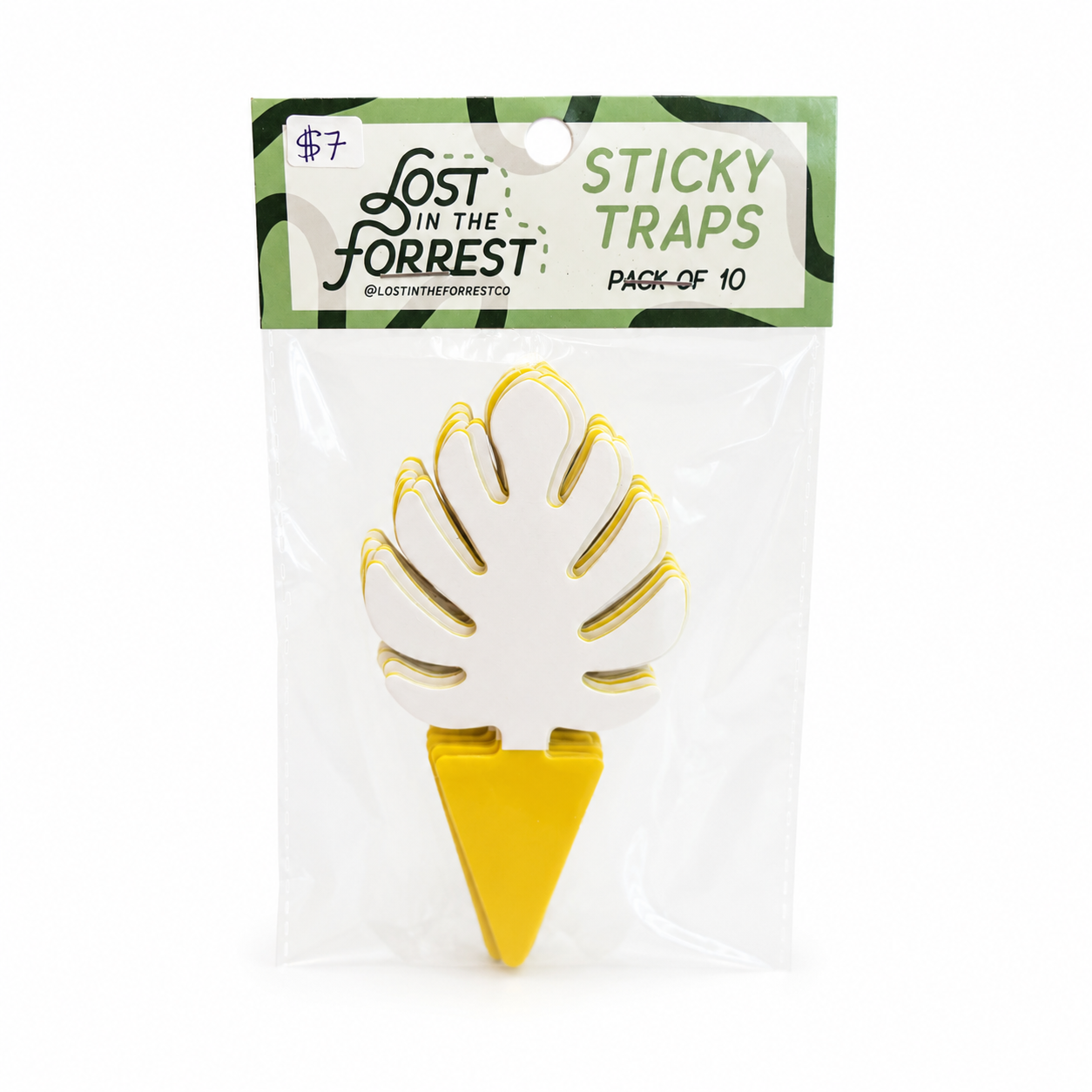 Gnat Sticky Traps