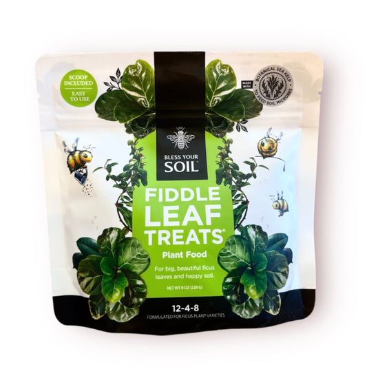 Bless Your Soil – Fiddle Leaf Treats