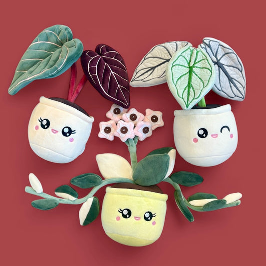 Plant Stuffed Toys Medium
